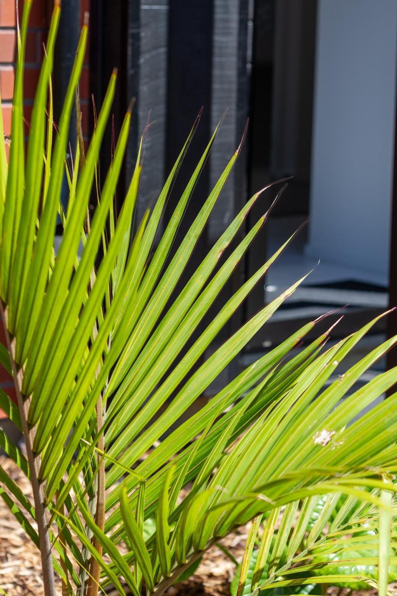 Chic 2-Bed Gem: Trust Arena Proximity - West Akl Auckland Exterior foto